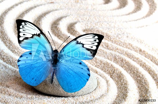 Image de Sand blue butterfly and spa stone in zen garden